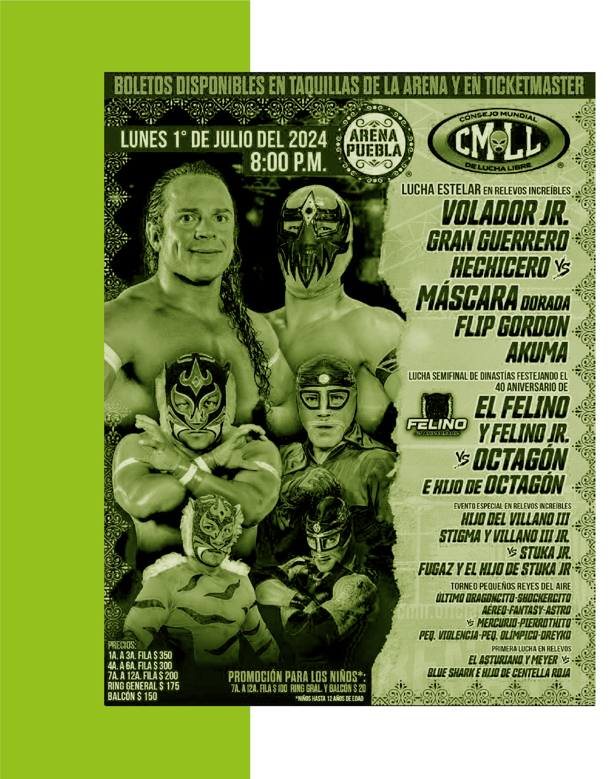 pamelRecurso 10verde2