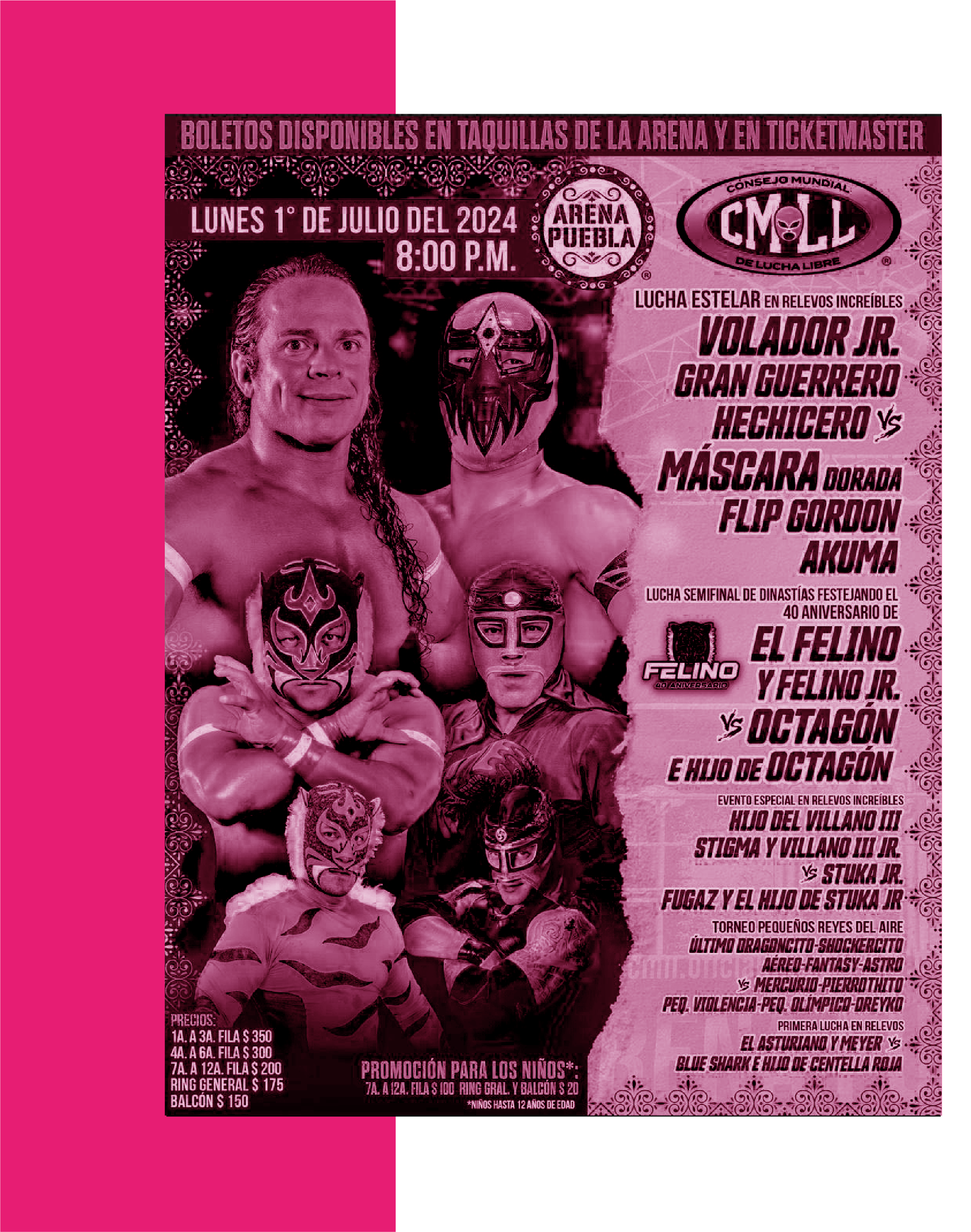 pamelRecurso 16rosa2