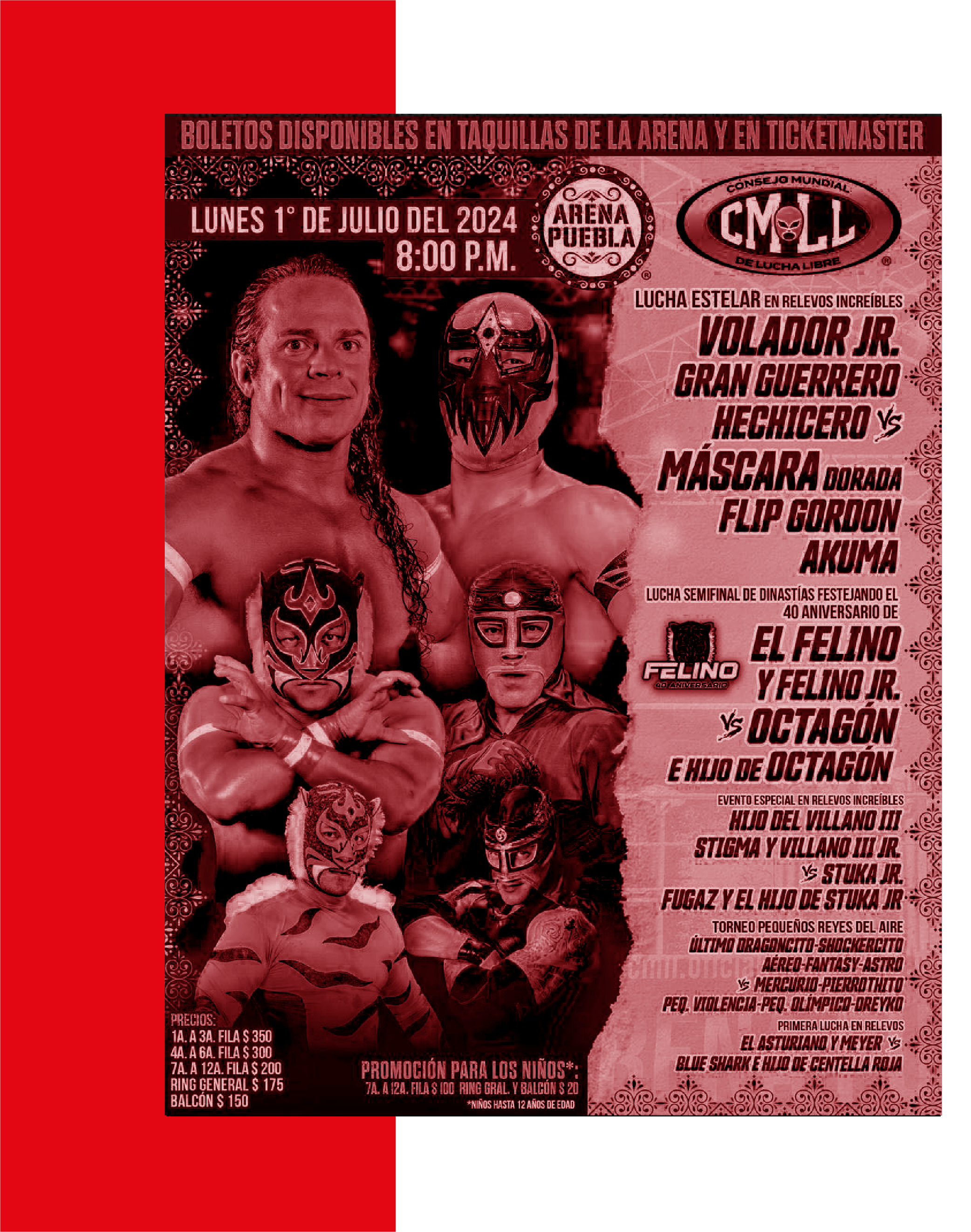 pamelRecurso 22rojo3